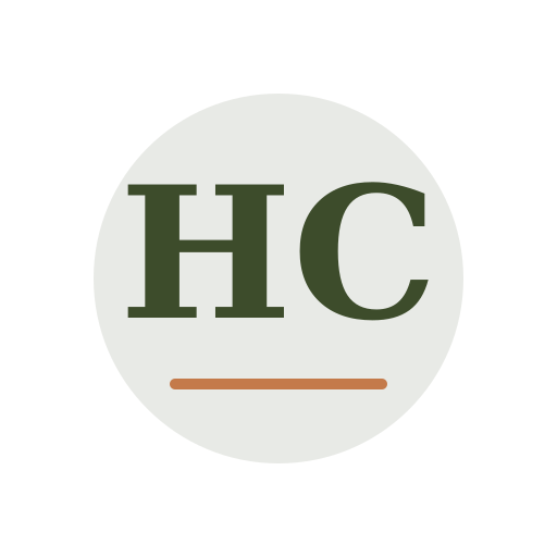 Holly Chimney Repair logo